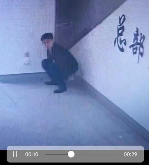 拉屎视频,一场关于人体排泄的奇妙之旅