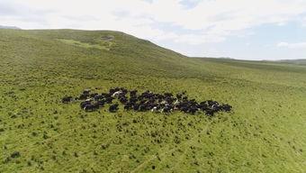 祁连山ps视频教程,解锁摄影后期处理的艺术之旅