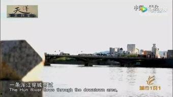 金海岸视频,捕捉光影之美,展现生活精彩瞬间