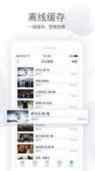 秘密影院在线视频,秘密影院在线视频深度解析