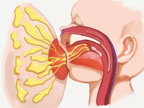 子宫复位手法视频,专业视频教程解析