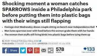 网抓麻雀视频,网抓视频中的自然之美