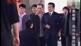 意难忘佳佳视频,情感纠葛中的成长与蜕变